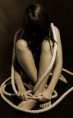 /album/fotogaleria/a121212-jpg/